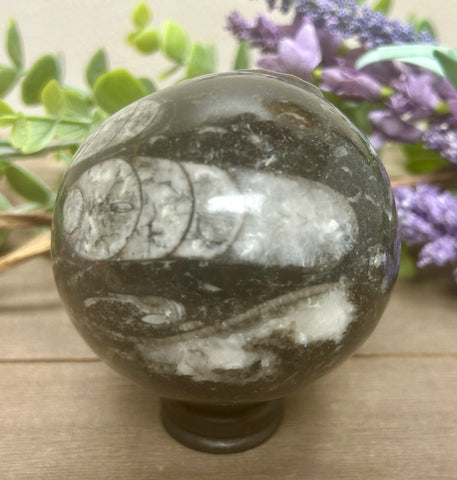 Orthoceras Sphere #1