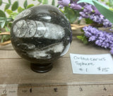 Orthoceras Sphere #1