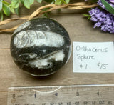 Orthoceras Sphere #1