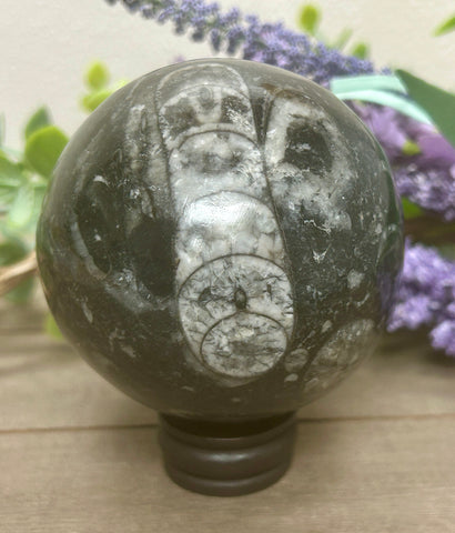 Orthoceras Sphere #2