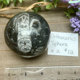 Orthoceras Sphere #2