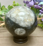 Orthoceras Sphere #3