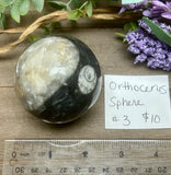 Orthoceras Sphere #3