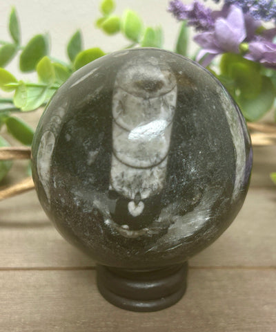 Orthoceras Sphere #4