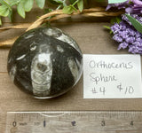 Orthoceras Sphere #4