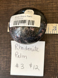 Rhodonite Palm #3