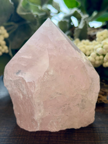 Rose Quartz Raw Standing Point #3