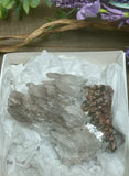 Selenite Raw #2