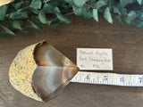 Agate Raw Standing Point Natural #1