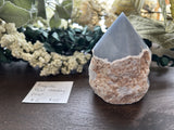 Angelite Raw Standing Point #2