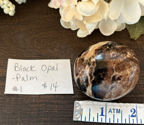 Black Opal Palm #1