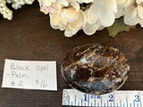 Black Opal Palm #2
