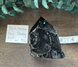 Black Obsidian Raw Standing Point #1
