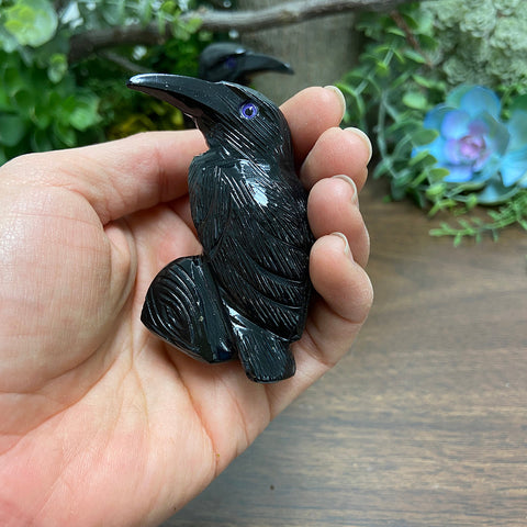 Black Onyx - Raven Medium