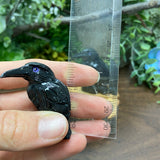 Black Onyx - Raven Small