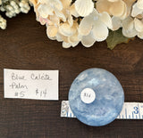 Blue Calcite Palm #5