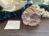 Brown Zebra Jasper Raw Standing Point #1