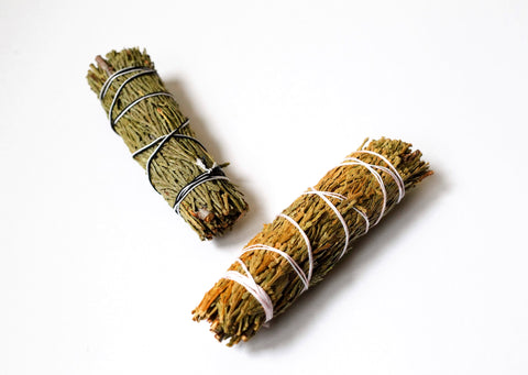 Cedar Sage