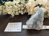 Celestite Cluster #8