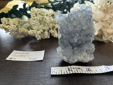 Celestite Cluster #7