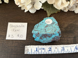 Chrysocolla #3