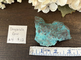 Chrysocolla #4