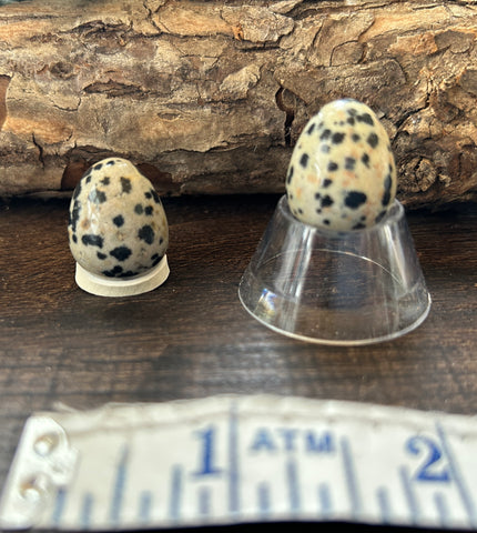 Dalmatian Jasper Mini Egg