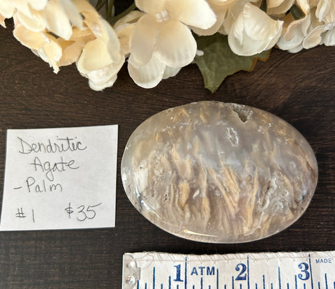 Dendritic Agate Palm #1