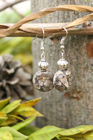 Turritella Agate Earrings