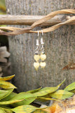 Orange Calcite Earrings