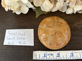 Sand Dollar Fossilized #3