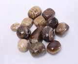 Brown Aragonite Pocket Stone