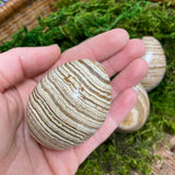 Aragonite Egg
