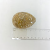 Coral Fossil Egg