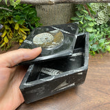 Ammonite Diamond Box - Large