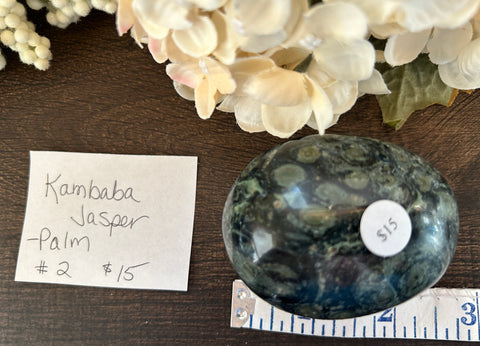 Kambaba Jasper Palm #2