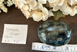 Kambaba Jasper Palm #2