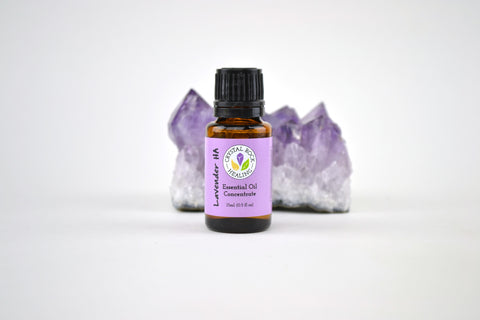 Lavender HA Essential Oil Concentrate