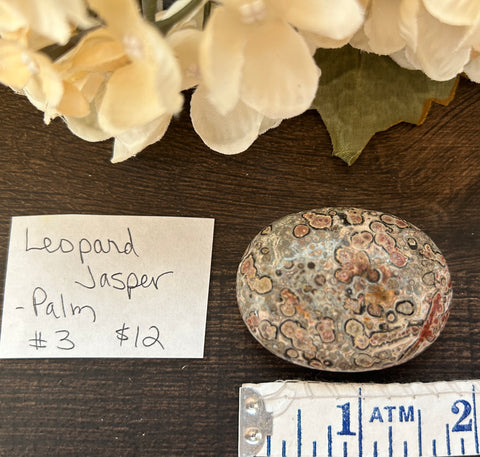 Leopard Jasper Palm #3