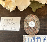 Leopard Jasper Palm #3