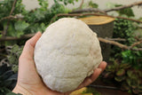 Crystal Geode (29)