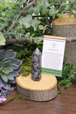 Larvikite Obelisk #1
