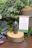 Larvikite Obelisk #2
