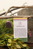 Lepidolite Pendant