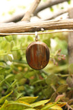 Petrified Wood Pendant
