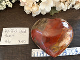 Petrified Wood Heart #6