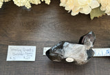 Smokey Quartz Cluster Double Point #3
