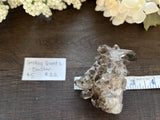 Smokey Quartz Cluster #5