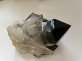Smokey Quartz Cluster #2