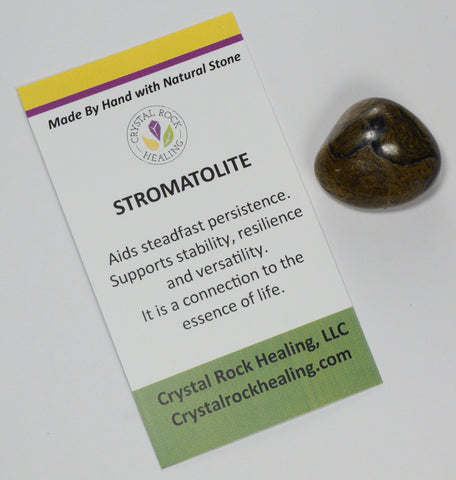 Stromatolite Pocket Stone
